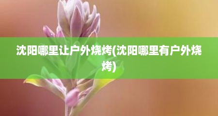 沈阳哪里让户外烧烤(沈阳哪里有户外烧烤)