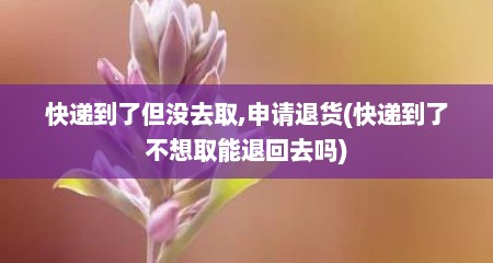 快递到了但没去取,申请退货(快递到了不想取能退回去吗)