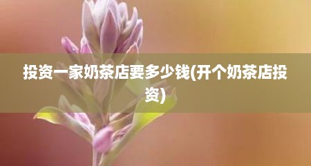 投资一家奶茶店要多少钱(开个奶茶店投资)