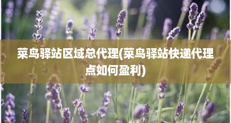 菜鸟驿站区域总代理(菜鸟驿站快递代理点如何盈利)