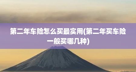 第二年车险怎么买最实用(第二年买车险一般买哪几种)