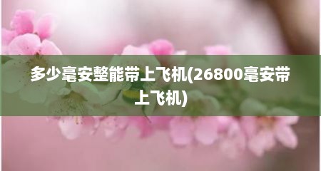 多少毫安整能带上飞机(26800毫安带上飞机)