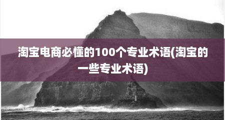 淘宝电商必懂的100个专业术语(淘宝的一些专业术语)
