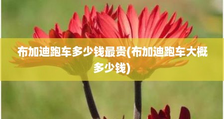 布加迪跑车多少钱最贵(布加迪跑车大概多少钱)
