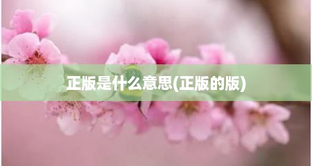 正版是什么意思(正版的版)