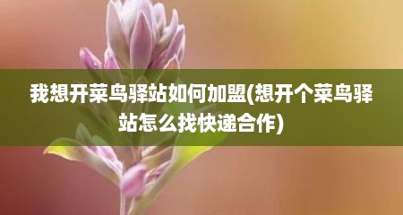 我想开菜鸟驿站如何加盟(想开个菜鸟驿站怎么找快递合作)