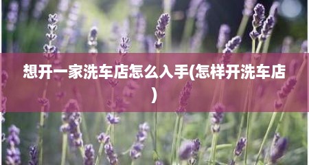 想开一家洗车店怎么入手(怎样开洗车店)