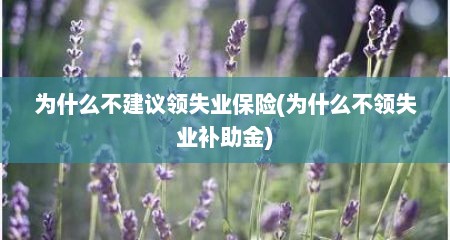 为什么不建议领失业保险(为什么不领失业补助金)
