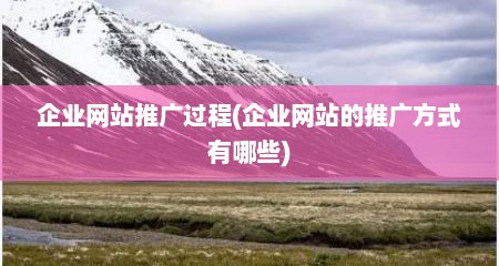企业网站推广过程(企业网站的推广方式有哪些)