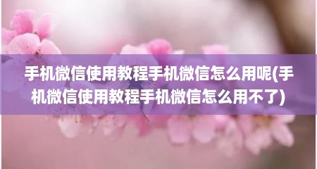 手机微信使用教程手机微信怎么用呢(手机微信使用教程手机微信怎么用不了)