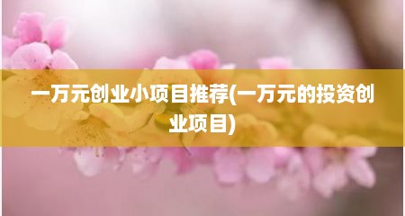 一万元创业小项目推荐(一万元的投资创业项目)