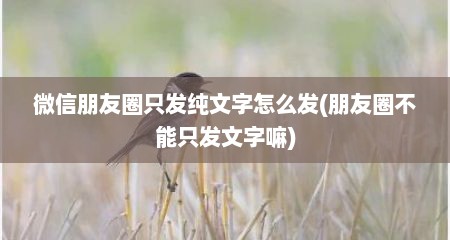 微信朋友圈只发纯文字怎么发(朋友圈不能只发文字嘛)