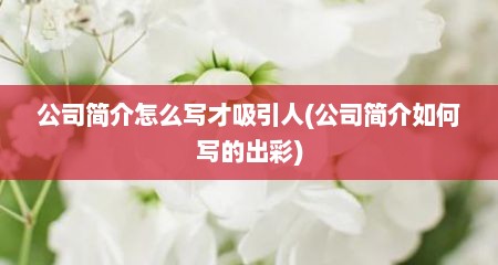 公司简介怎么写才吸引人(公司简介如何写的出彩)