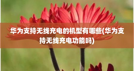 华为支持无线充电的机型有哪些(华为支持无线充电功能吗)