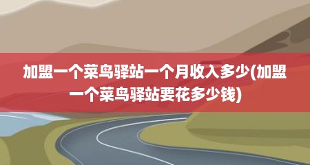 加盟一个菜鸟驿站一个月收入多少(加盟一个菜鸟驿站要花多少钱)