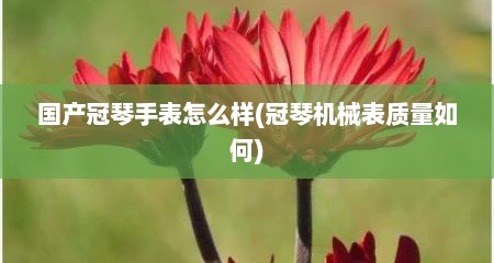 国产冠琴手表怎么样(冠琴机械表质量如何)