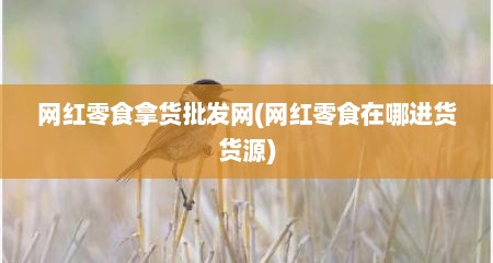 网红零食拿货批发网(网红零食在哪进货货源)