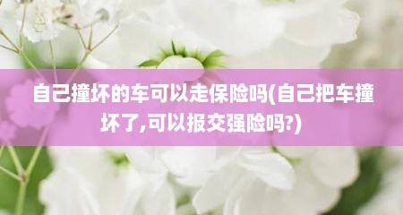 自己撞坏的车可以走保险吗(自己把车撞坏了,可以报交强险吗?)