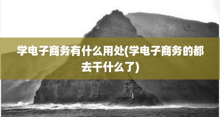 学电子商务有什么用处(学电子商务的都去干什么了)