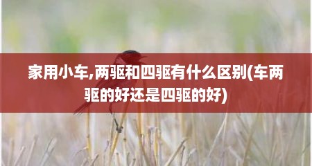 家用小车,两驱和四驱有什么区别(车两驱的好还是四驱的好)