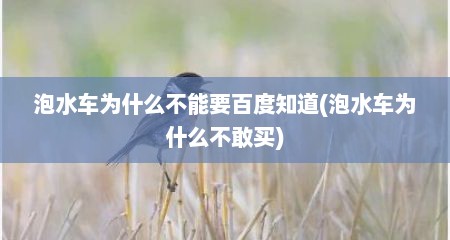 泡水车为什么不能要百度知道(泡水车为什么不敢买)