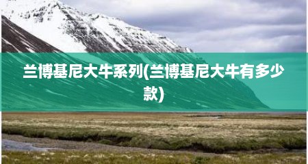 兰博基尼大牛系列(兰博基尼大牛有多少款)