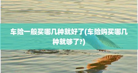 车险一般买哪几种就好了(车险购买哪几种就够了?)