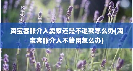 淘宝客服介入卖家还是不退款怎么办(淘宝客服介入不管用怎么办)