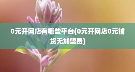 0元开网店有哪些平台(0元开网店0元铺货无加盟费)