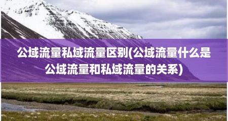 公域流量私域流量区别(公域流量什么是公域流量和私域流量的关系)