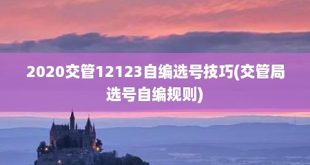 2020交管12123自编选号技巧(交管局选号自编规则)