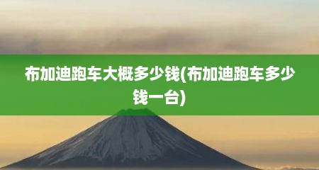 布加迪跑车大概多少钱(布加迪跑车多少钱一台)