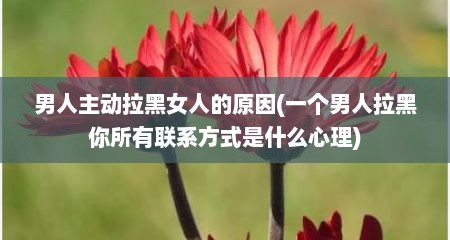 男人主动拉黑女人的原因(一个男人拉黑你所有联系方式是什么心理)