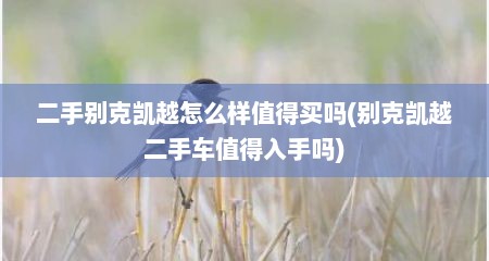 二手别克凯越怎么样值得买吗(别克凯越二手车值得入手吗)