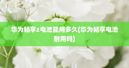 华为畅享z电池能用多久(华为畅享电池耐用吗)