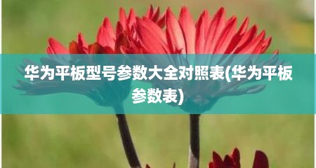 华为平板型号参数大全对照表(华为平板参数表)