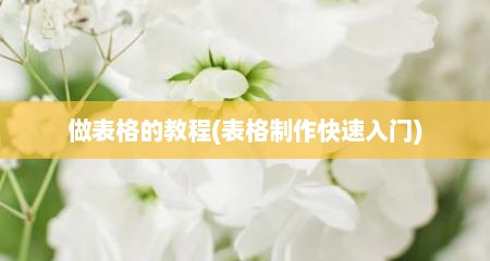 做表格的教程(表格制作快速入门)