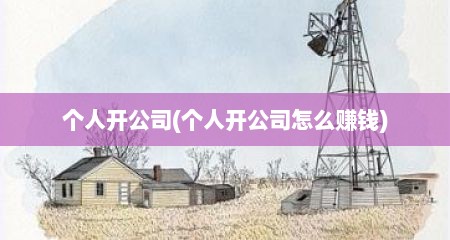个人开公司(个人开公司怎么赚钱)