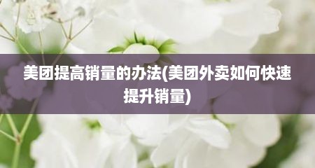 美团提高销量的办法(美团外卖如何快速提升销量)