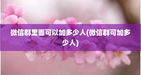 微信群里面可以加多少人(微信群可加多少人)