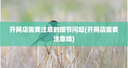 开网店需要注意的细节问题(开网店需要注意啥)