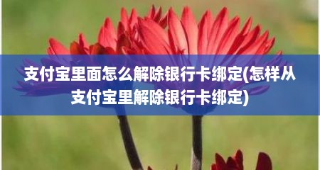支付宝里面怎么解除银行卡绑定(怎样从支付宝里解除银行卡绑定)