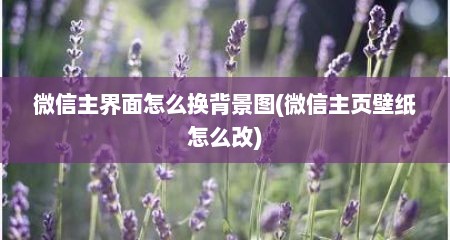 微信主界面怎么换背景图(微信主页壁纸怎么改)