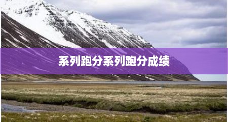 系列跑分系列跑分成绩