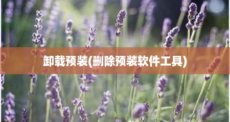 卸载预装(删除预装软件工具)