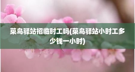 菜鸟驿站招临时工吗(菜鸟驿站小时工多少钱一小时)