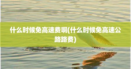 什么时候免高速费啊(什么时候免高速公路路费)