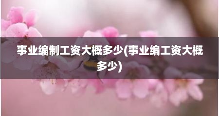 事业编制工资大概多少(事业编工资大概多少)