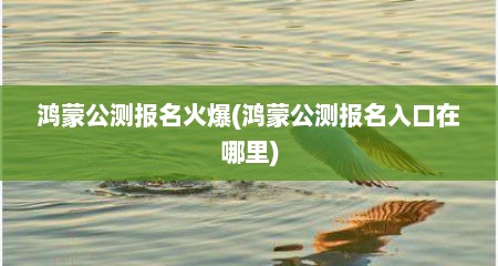 鸿蒙公测报名火爆(鸿蒙公测报名入口在哪里)