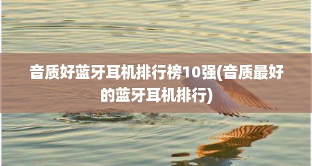 音质好蓝牙耳机排行榜10强(音质最好的蓝牙耳机排行)